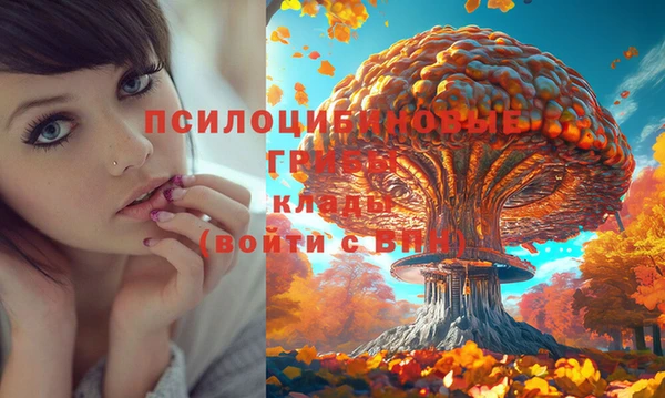 мдма Бронницы