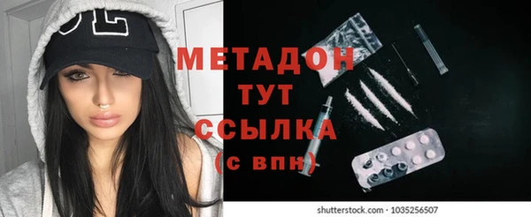 сатива Тобольск