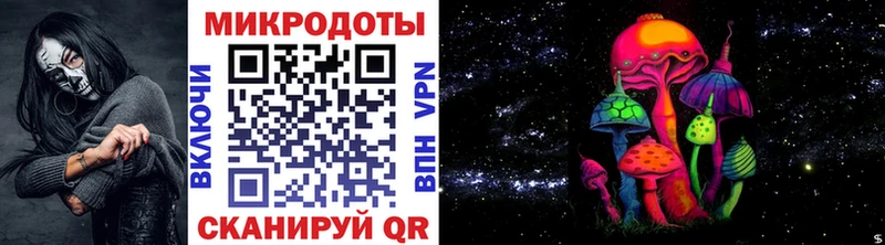 Псилоцибиновые грибы мицелий закладки Горбатов